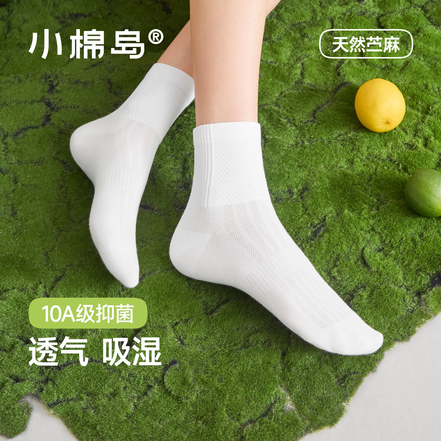 【天然苎麻】袜子女款夏季薄款中筒袜网眼透气运动防臭抗菌无骨袜