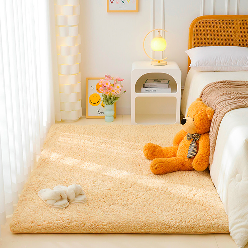 秋冬法风地毯加厚客厅卧室羊羔绒床边毯家用房间毛绒地垫飘窗垫子