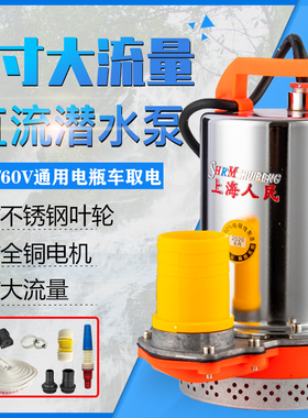 2寸直流潜水泵12v24v48v60v72v伏农用电动车水泵电瓶浇地抽水机泵