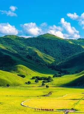 FJ01150好寓意靠山大山蓝天白云蒙古草原风景无水森林背景墙壁画
