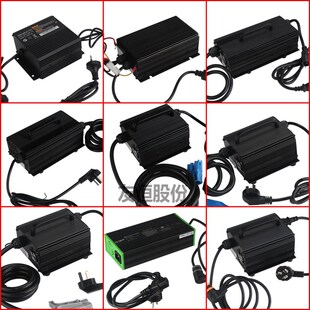 电动叉车充电器蓄电池充电机12V24V合力杭叉小金刚搬运车堆高充电