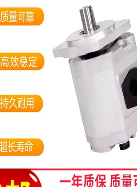 打包机齿轮泵CBG2100-BFX  CBG2100-B2F2 CBG2063-BFXL