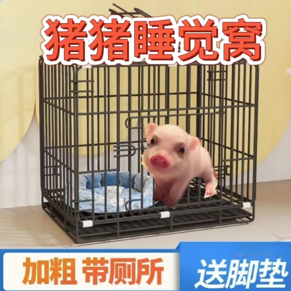 小香猪大中型宠物笼子侏儒兔笼子家用室内兔兔带厕所加粗
