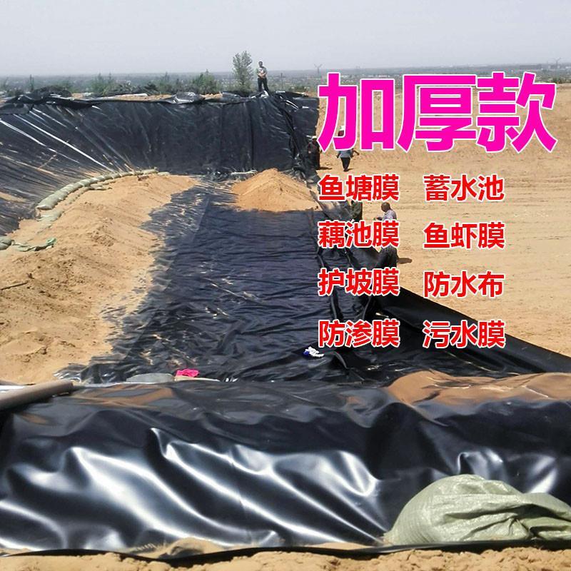 鱼塘防渗塑料膜水产养殖膜鱼池防水布水池藕池土工膜护坡防漏膜