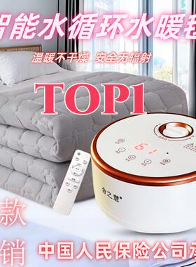 水暖毯电热智能遥控主机调温电褥子单双人白色水循环炕注水加热毯