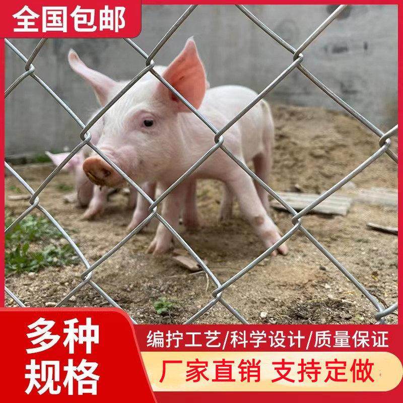 圈猪用菱形网格勾花隔离养殖网镀锌钢丝围栏网铁丝围栏防护隔离网