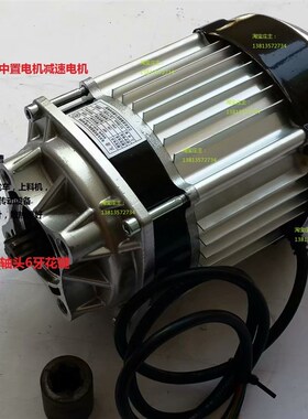 48V500W800W中置电机三轮车永磁直流无刷减速电机挂桨机四孔电机
