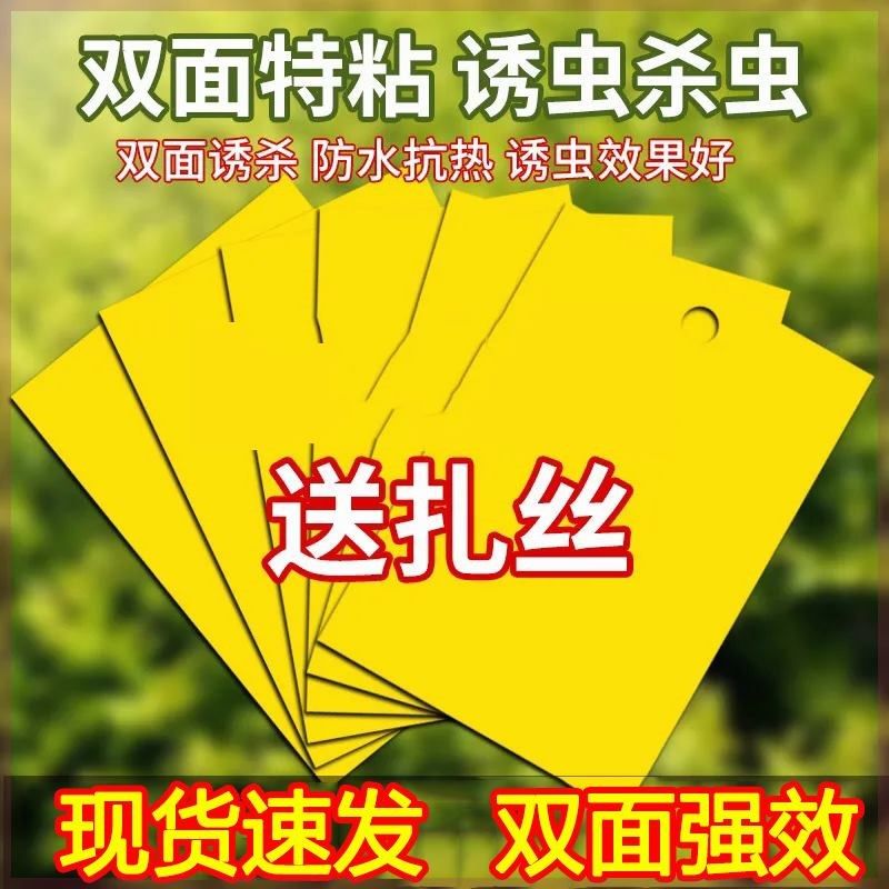 双面粘虫黄板诱虫板柑橘子树瓜果实蝇针蜂粘苍蝇贴粘虫板蓟马篮板,农机/农具/农膜,农用灭虫板/诱虫板,淘宝优惠券,粉丝福利购,淘宝优惠卷