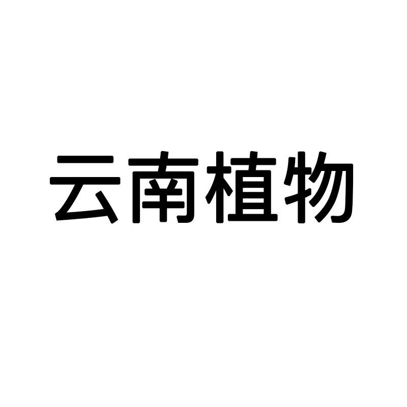 朴原甄选蛇神玉 Euphorbia jansenvillensis 珍奇块根多肉植