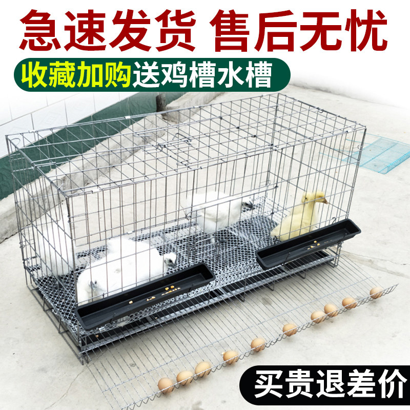 蛋鸡笼家用大号可折叠特大养自家大型宠物关铁滚蛋兔笼鸽子养殖笼,宠物/宠物食品及用品,狗笼子,淘宝优惠券,粉丝福利购,淘宝优惠卷