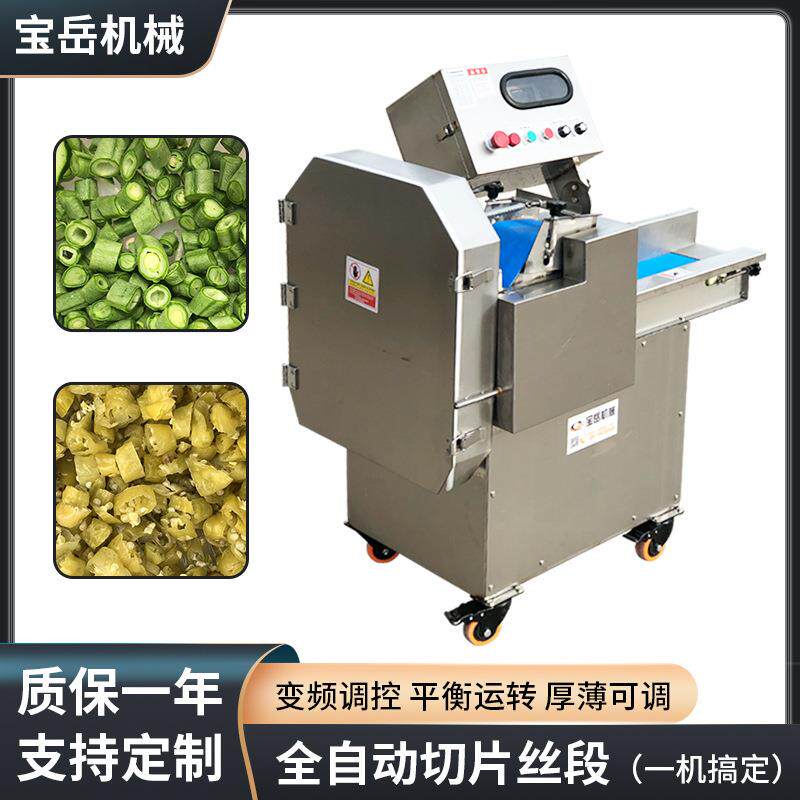 根茎类蔬菜类切片切丝机柜式商用切丝机大功率大口径带面板切丁机