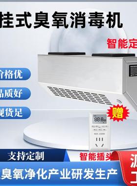 20g/40g壁挂式臭氧发生器消毒机垃圾房除臭房食品车间杀菌除异味