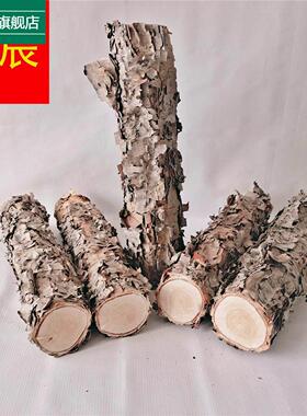 木铁桦树桦木原木铁桦原木装饰树隔断橱窗隔断湿木料