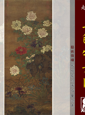 赵昌五色牡丹传统工笔重彩花鸟画临摹范本中式装饰画艺术绢布画心
