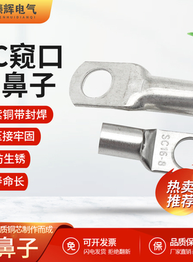 冷压SC窥口紫铜镀锡线鼻子sc6-5/8/10/16/35/50/70接线端子铜鼻子