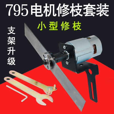 795直流电机12V24V大扭力高速马达微型diy园林小修枝打尖马达配件