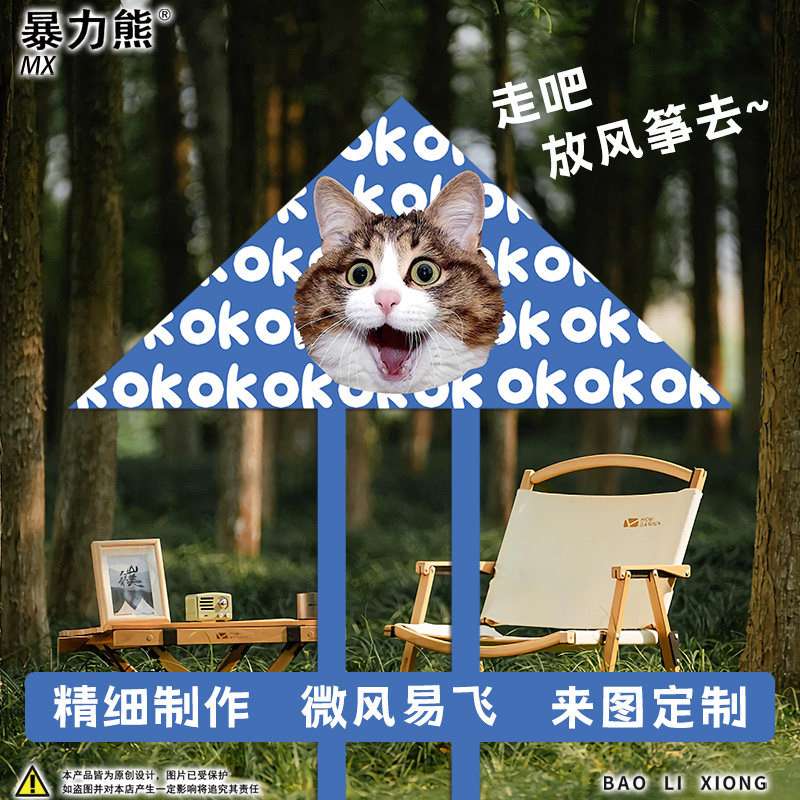 2024年新款风筝 猫咪可爱公园广场儿童微风易飞 风筝是会飞的鱼,特色手工艺,风筝,淘宝优惠券,粉丝福利购,淘宝优惠卷
