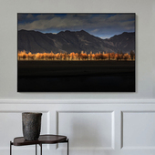 品都 饰挂画 西藏沿途风景树林diy数字油画手工填色家居客厅卧室装