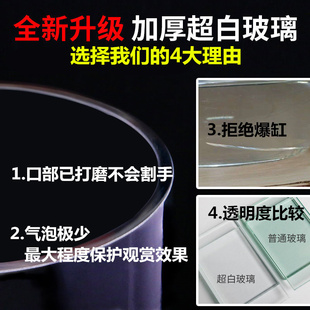 超白加厚客厅办公室球形圆柱鱼缸玻璃直筒大号落地桌面透明金鱼缸