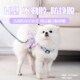 宠物狗狗牵引绳外出专用遛狗可爱蝴蝶防挣脱工字胸背带毛猫咪用品