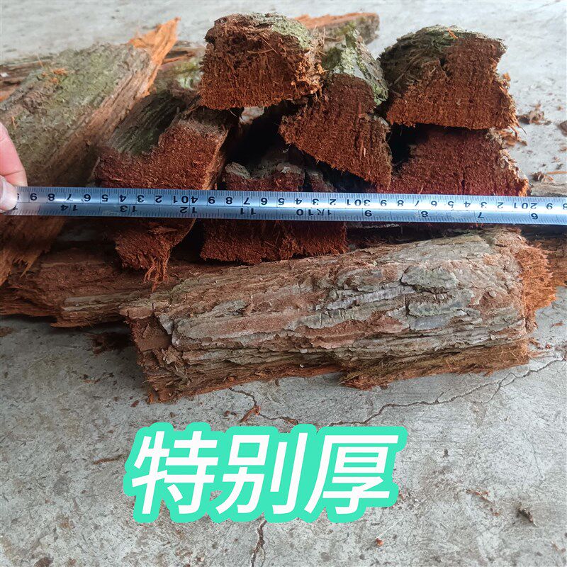 杉木树皮马蜂筑巢材料很厚胡蜂黄脚筑巢红娘黑盾杉树皮5斤筑巢快