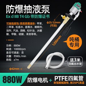 匠岛田防爆防静电EX880WPTFE手提电动插桶抽液泵耐酸碱耐高温四氟