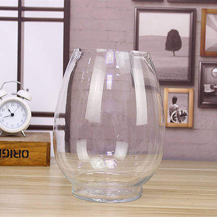 玻璃花瓶 水培植物冬瓜 送定植篮花盆鱼缸懒人透明器皿插花送棉绳,鲜花速递/花卉仿真/绿植园艺,花瓶,淘宝优惠券,粉丝福利购,淘宝优惠卷