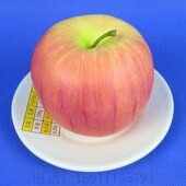 2016版 膳食宝塔中国居民膳食平衡宝塔模型婴儿孕妇老年人食物模型