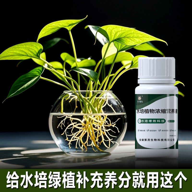 新品水培植物专用营养液家用盆栽富贵竹绿萝碗莲花卉通用绿植肥,鲜花速递/花卉仿真/绿植园艺,家庭园艺肥料,淘宝优惠券,粉丝福利购,淘宝优惠卷