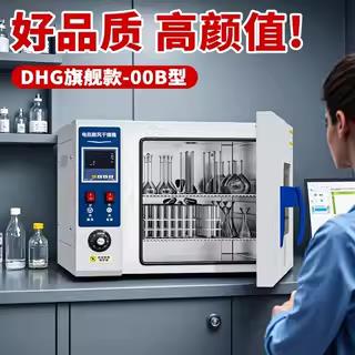 电热鼓风干 干燥箱双门高温烘箱恒温干 干燥箱烤箱工业试验箱老化