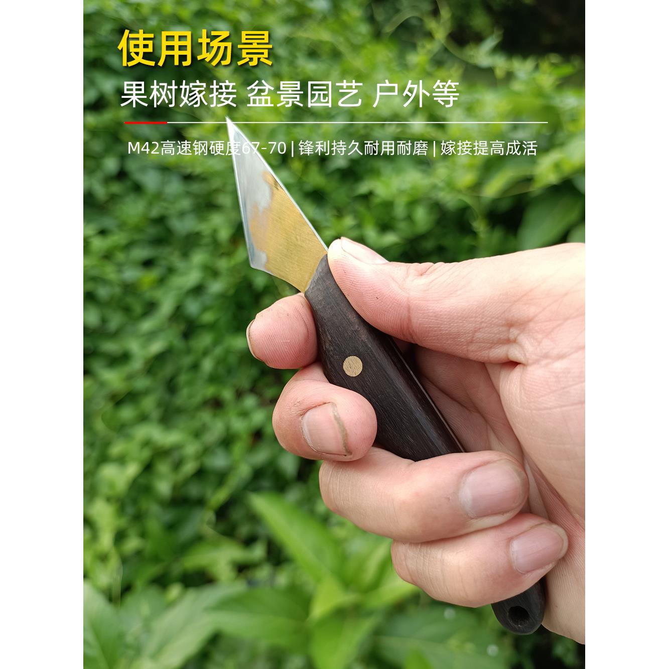 盆景金弹子芽接刀M42高速锯片钢嫁接刀硬度67+园林园艺嫁接工具