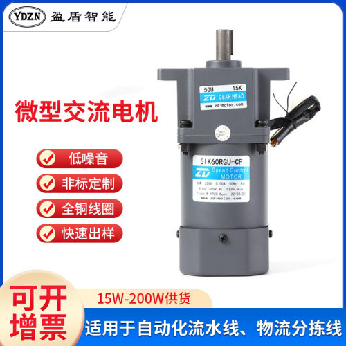 220V60W小型调速交流电机