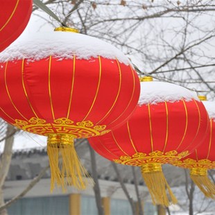 铁口大红灯笼阳台户外防水广告灯笼定制印字春节新年装饰灯笼挂饰