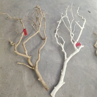 干树枝去皮原木树杆枯树枝带杈分支树杈室内天花板挂灯插花瓶装饰