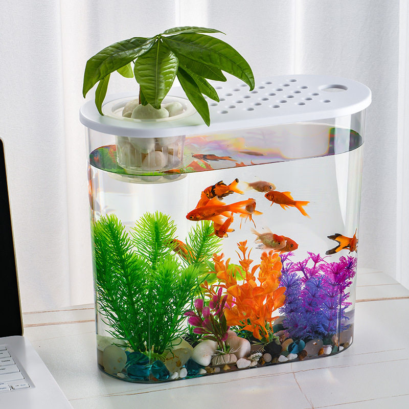 水培植物和鱼共养塑料亚克力材质一体成型仿玻璃金鱼缸餐桌小鱼缸