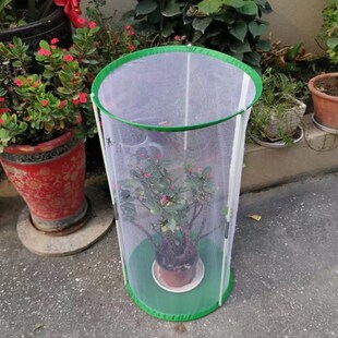 圆柱支架圆桶便携式蝴蝶饲养观赏笼昆虫透明网笼观察笼