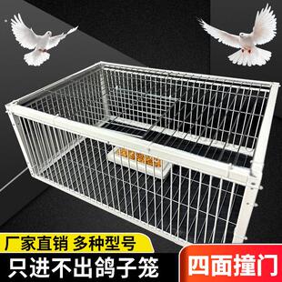 专用搭建农村室外鸡笼子家用室外防雨加厚加密雏鸡鸡场兔子笼家禽