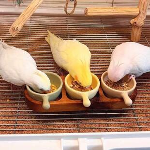 鹦鹉食盒陶瓷鸟用食罐食碗粮食饲料盆虎皮牡丹玄凤鹦鹉鸟饲料盆