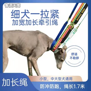 细狗一拉紧牵引绳通用惠比特格慧七彩遛狗绳防挣脱调节帆布一体绳