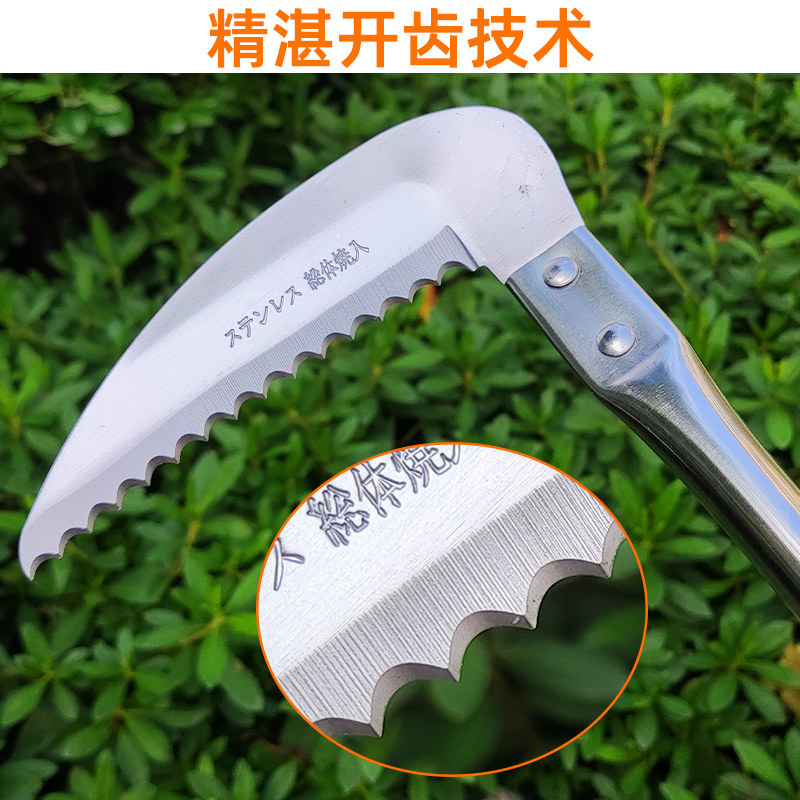 农用镰刀割草割菜锯树枝加长不锈钢除草神器大小锯齿麦子玉米工具图片