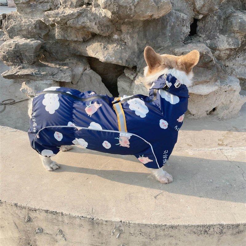 柯基犬全包四脚雨衣中型犬宠物狗狗护肚子可牵引防水雨天衣服,宠物/宠物食品及用品,狗宠物服装/雨衣,淘宝优惠券,粉丝福利购,淘宝优惠卷