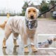 宠物狗狗雨衣金毛苏牧全包德牧巨贵大狗斑点杜宾犬罗威纳萨摩耶