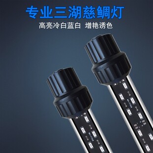 三湖慈鲷专用鱼缸灯潜水灯冷白引色发色蝴蝶萨伊增艳专业水族灯