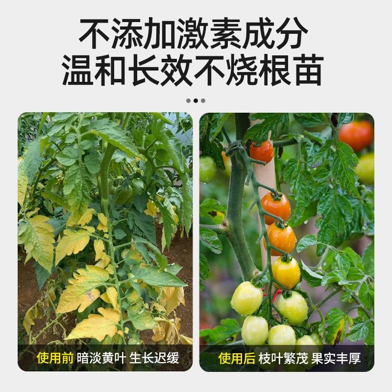 西红柿专用营养液肥料小番茄果蔬瓜果阳台盆栽蔬菜植物通用叶面肥,鲜花速递/花卉仿真/绿植园艺,介质/营养土,淘宝优惠券,粉丝福利购,淘宝优惠卷