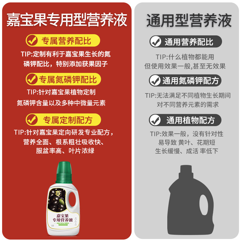 番茄营养液圣女果小番茄肥料催果结果有机肥盆栽西红柿专用肥料,鲜花速递/花卉仿真/绿植园艺,家庭园艺肥料,淘宝优惠券,粉丝福利购,淘宝优惠卷