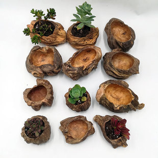 厂家销售松树瘤木雕摆件家居 多肉小花盆装饰品客厅工艺品包邮