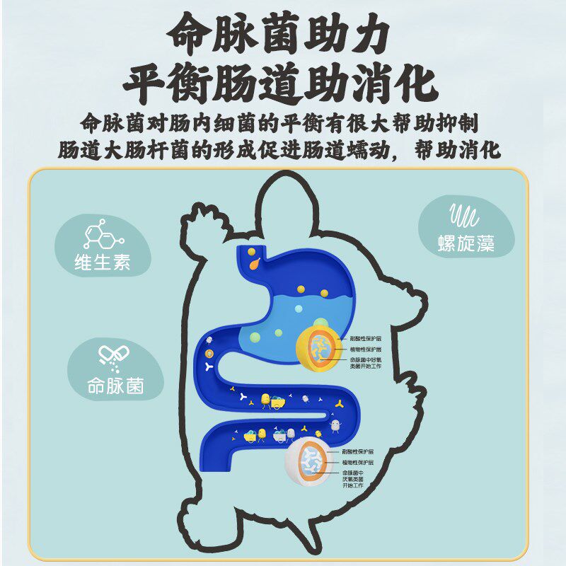 命脉金装升级50%蛋白幼龟粮稚龟开口粮半水龟水龟粮龟苗补钙增色