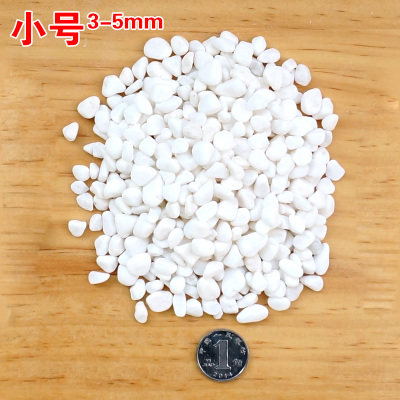 包邮5斤天然小白石子石头彩石园艺鱼缸花盆盆栽多肉庭院造景铺面,宠物/宠物食品及用品,造景/装饰,淘宝优惠券,粉丝福利购,淘宝优惠卷
