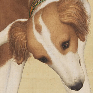 郎世宁十骏犬图十犬图传统工笔狗临摹范本中式装饰画艺术绢布画心