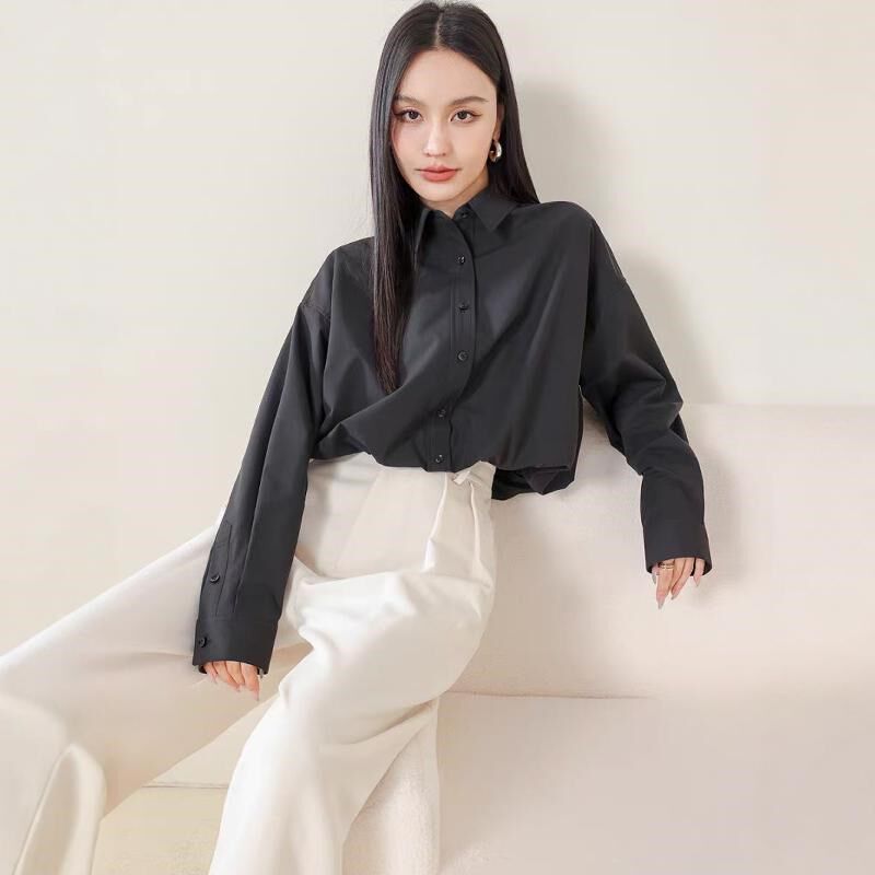 日单防皱免烫凉感短款衬衣2024年新款女设计感高级长袖衬衫上衣